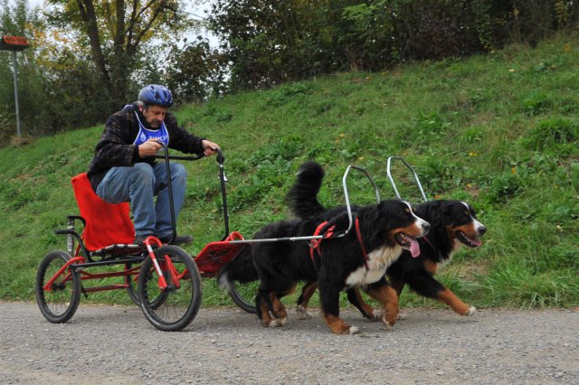 Rennen Weinfelden